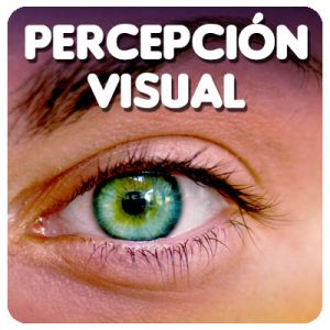 Percepción Visual